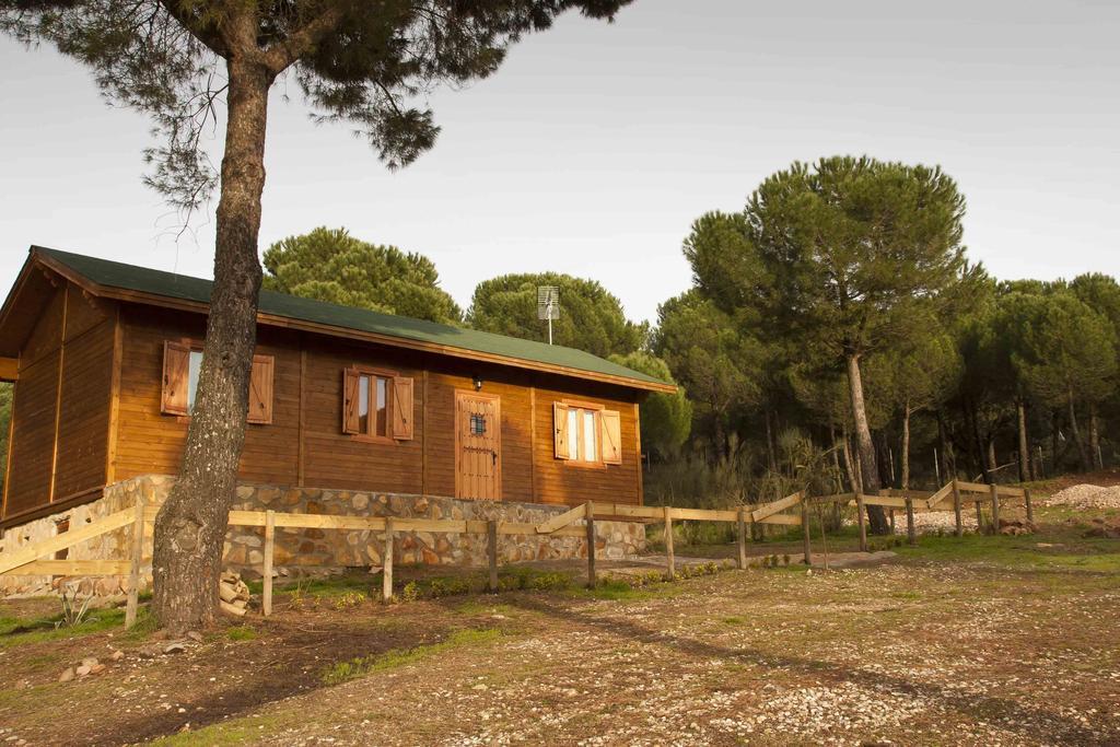 Andújar Apartamentos Paraje San Gines מראה חיצוני תמונה