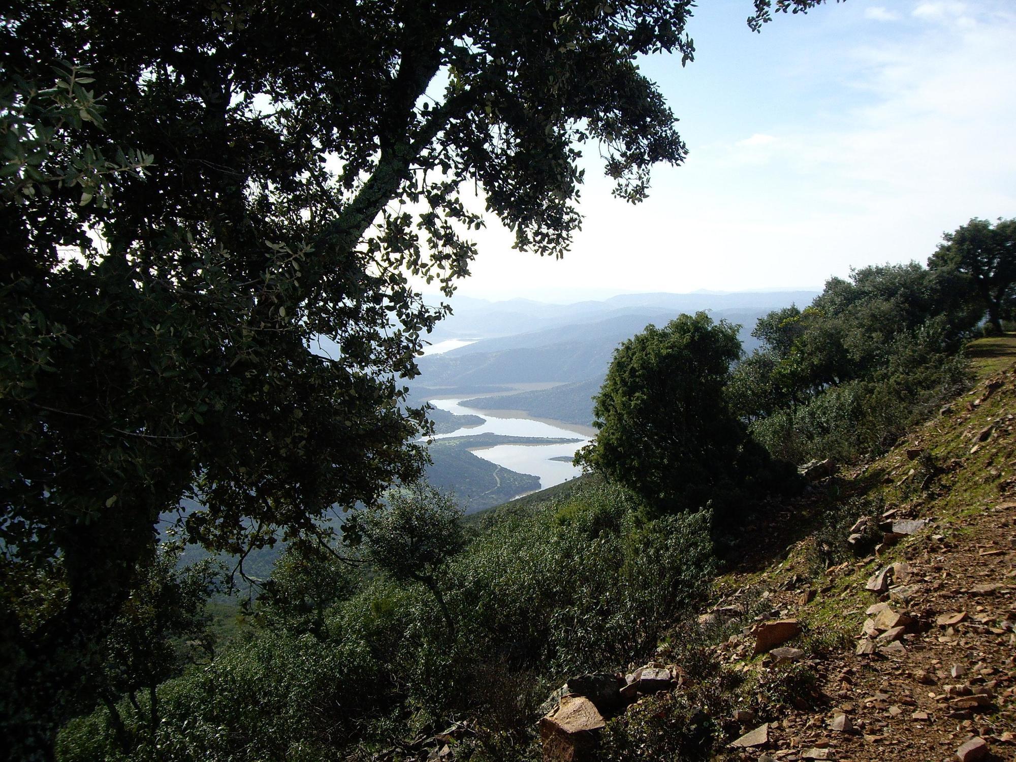 Andújar Apartamentos Paraje San Gines מראה חיצוני תמונה