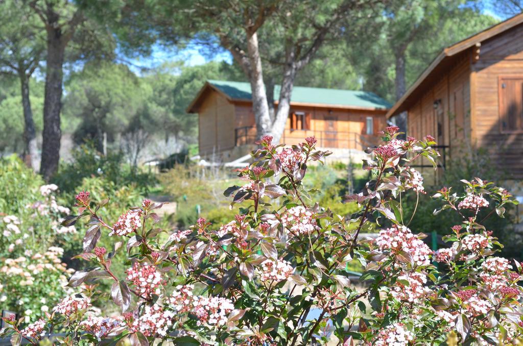 Andújar Apartamentos Paraje San Gines מראה חיצוני תמונה