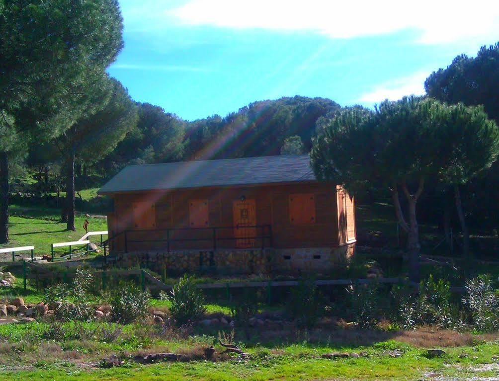 Andújar Apartamentos Paraje San Gines מראה חיצוני תמונה