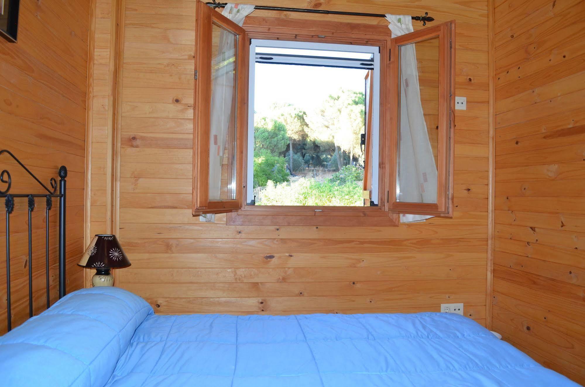 Andújar Apartamentos Paraje San Gines מראה חיצוני תמונה