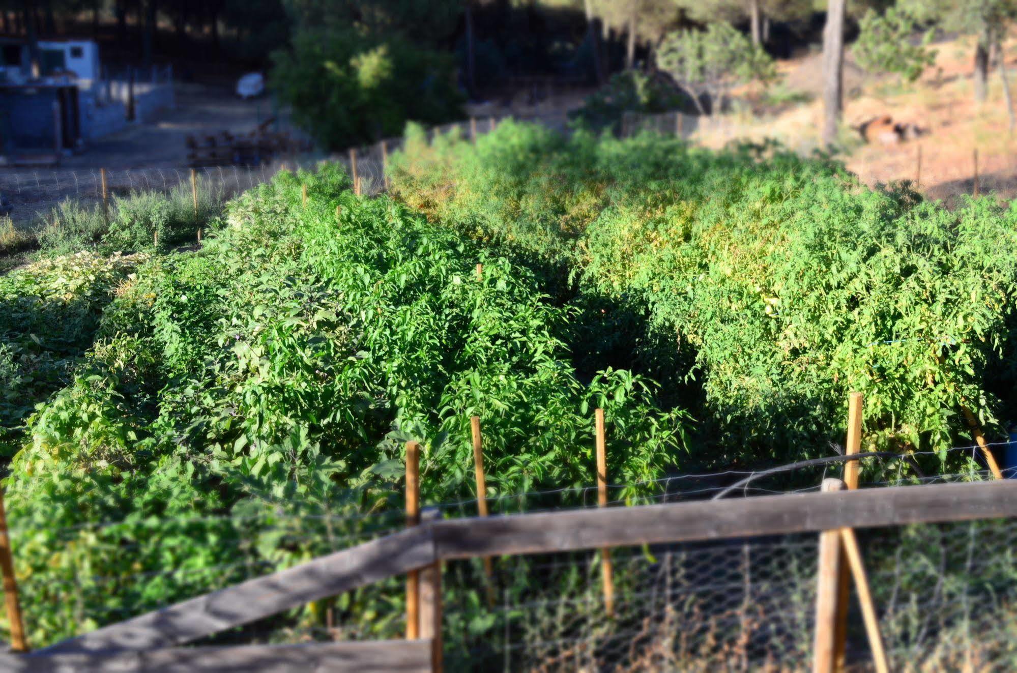 Andújar Apartamentos Paraje San Gines מראה חיצוני תמונה
